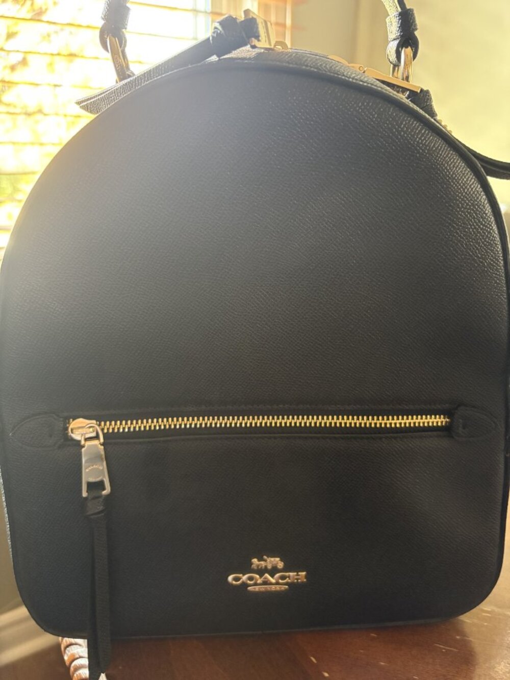 Coach Backpack bag